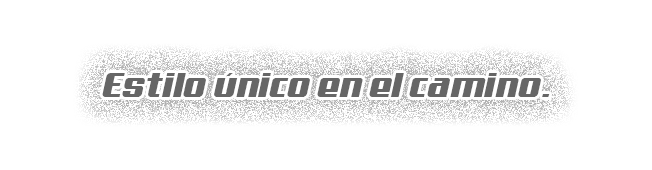 Cintilla Descriptiva Xpeed 150 X